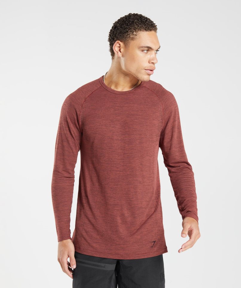 Koszulki Gymshark Retake Seamless Long Sleeve Męskie Brązowe | PL 125BCO